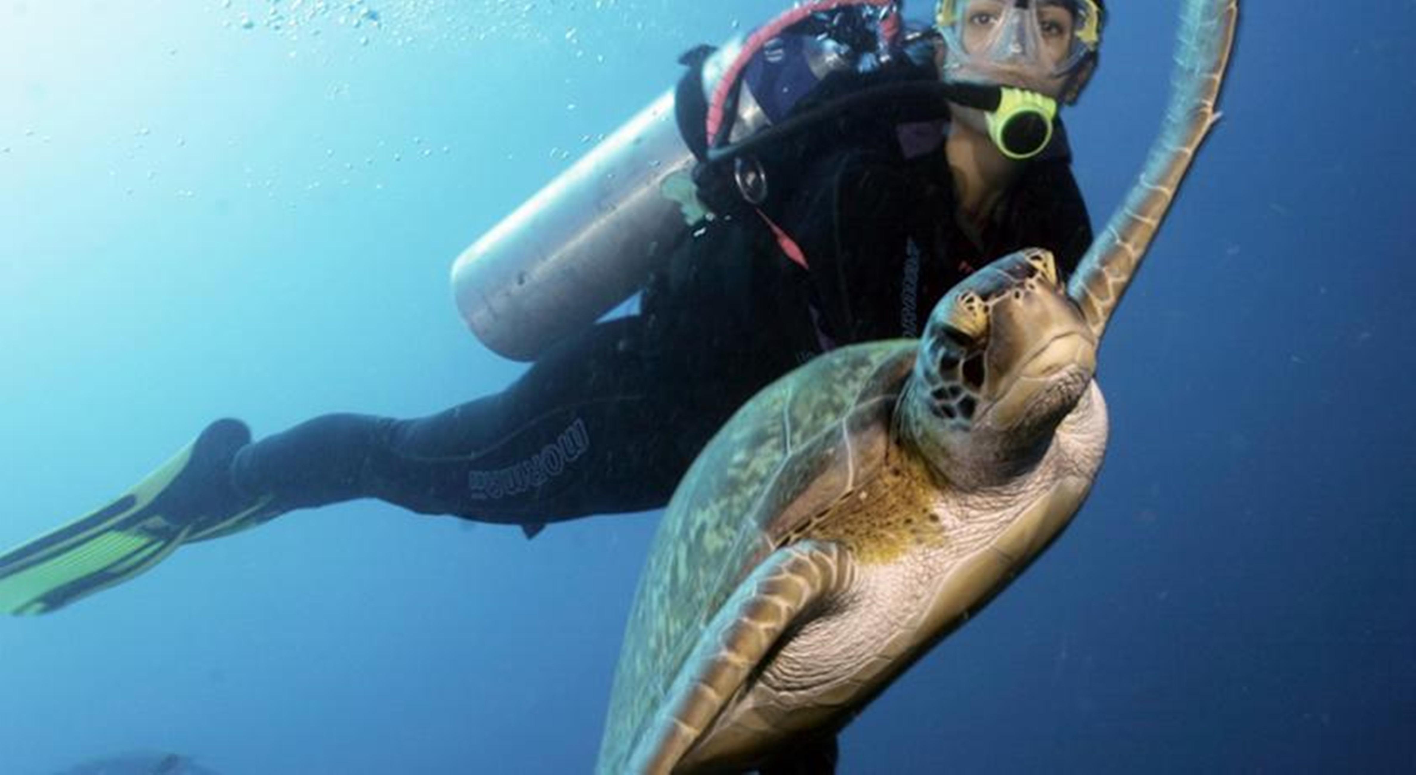 セランビ リゾート Pôrto das Galinhas エクステリア 写真